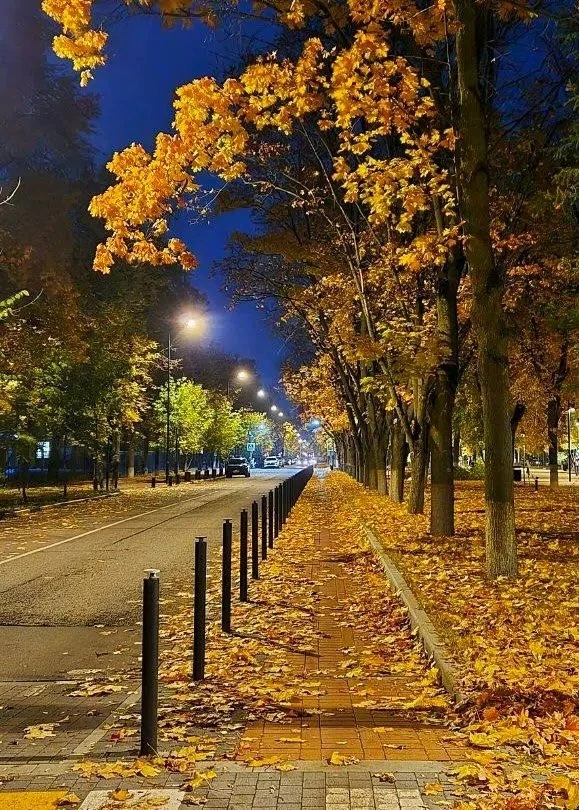 Приятного вечера!