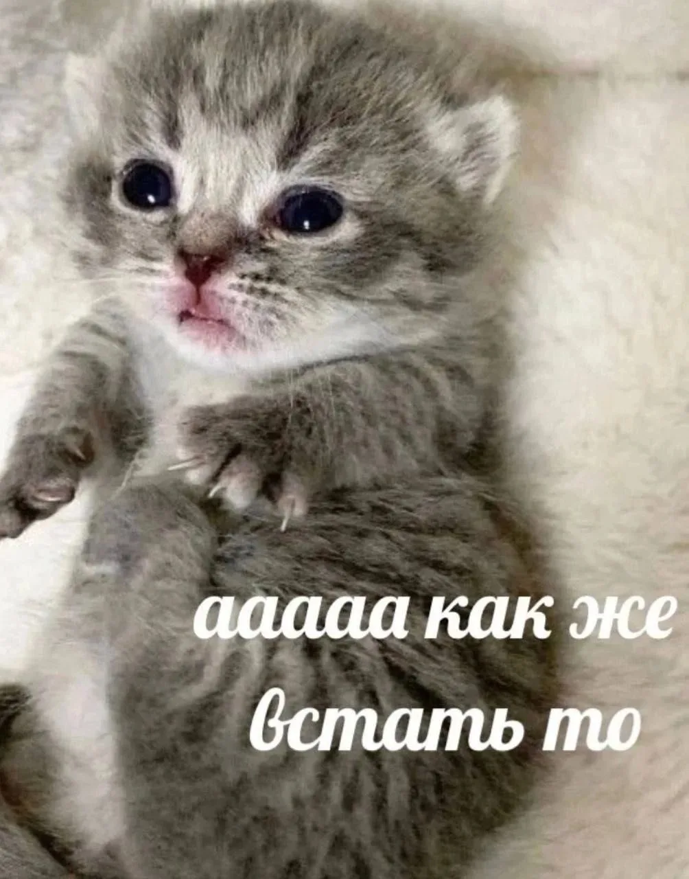 Понравился контент? Подпишись на наш второй канал MAXимально вкусно!