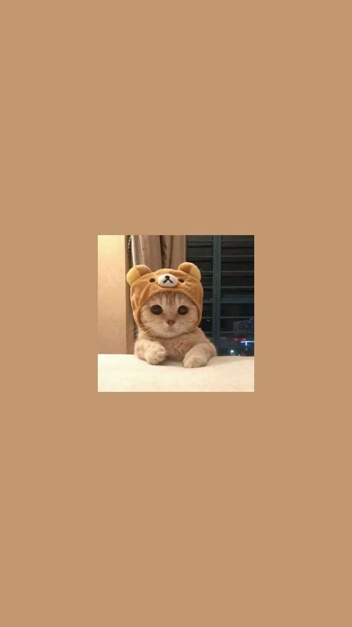 🧸 Маленькое чудо