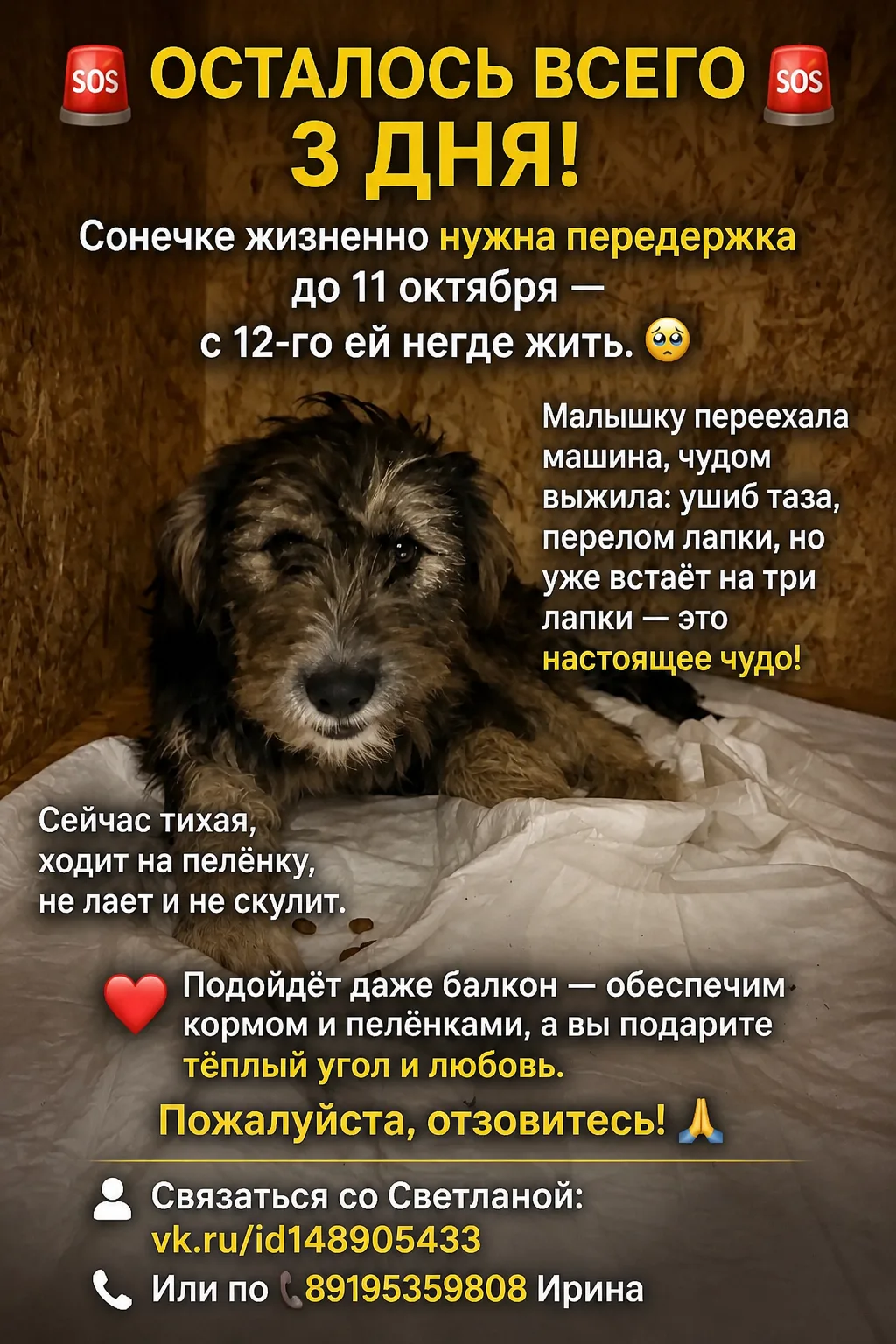 ОСТАЛОСЬ ВСЕГО 3 ДНЯ!!!!!!!
