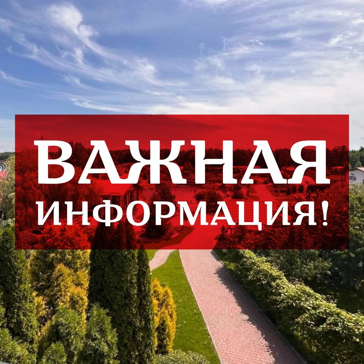 Дорогие гости!
