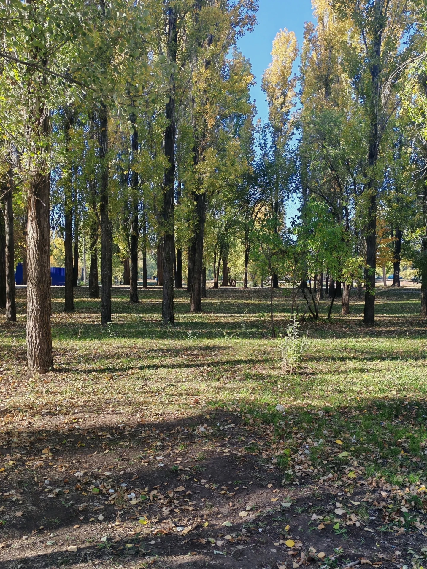 Осень в городском парке