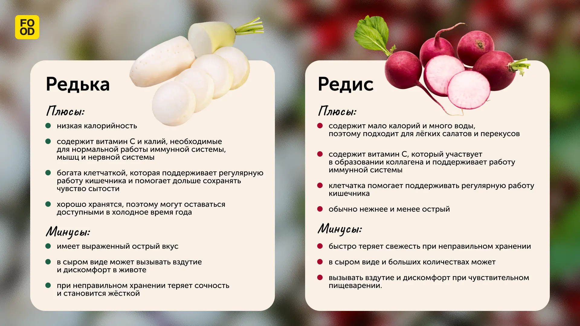 Редька и редиска — в чем разница? 🌱