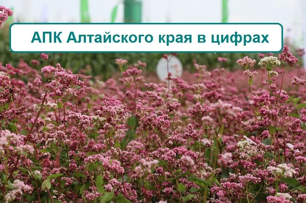 С Днем работника сельского хозяйства и перерабатывающей промышленности!
