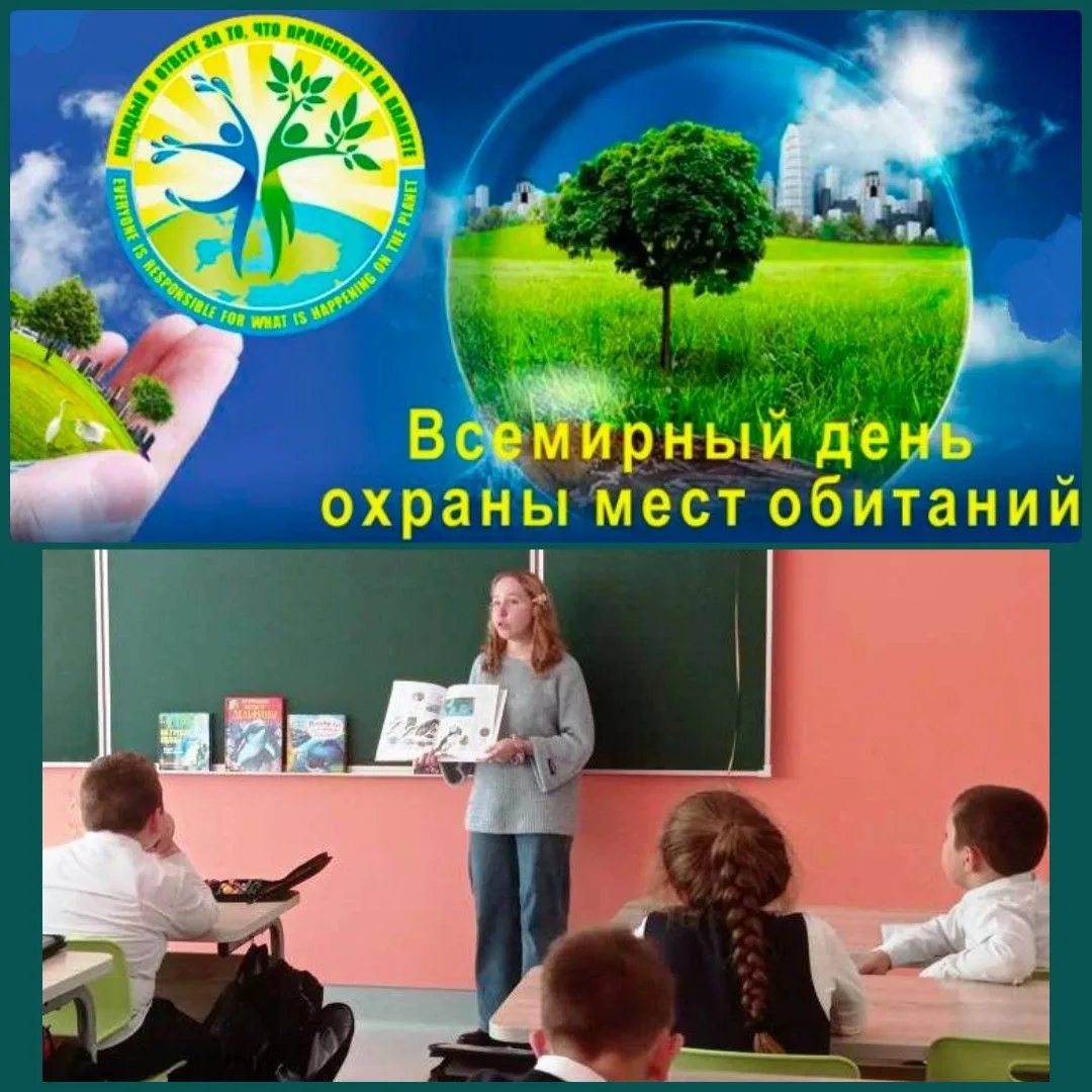 Душа океана 🌊                                                                         ...