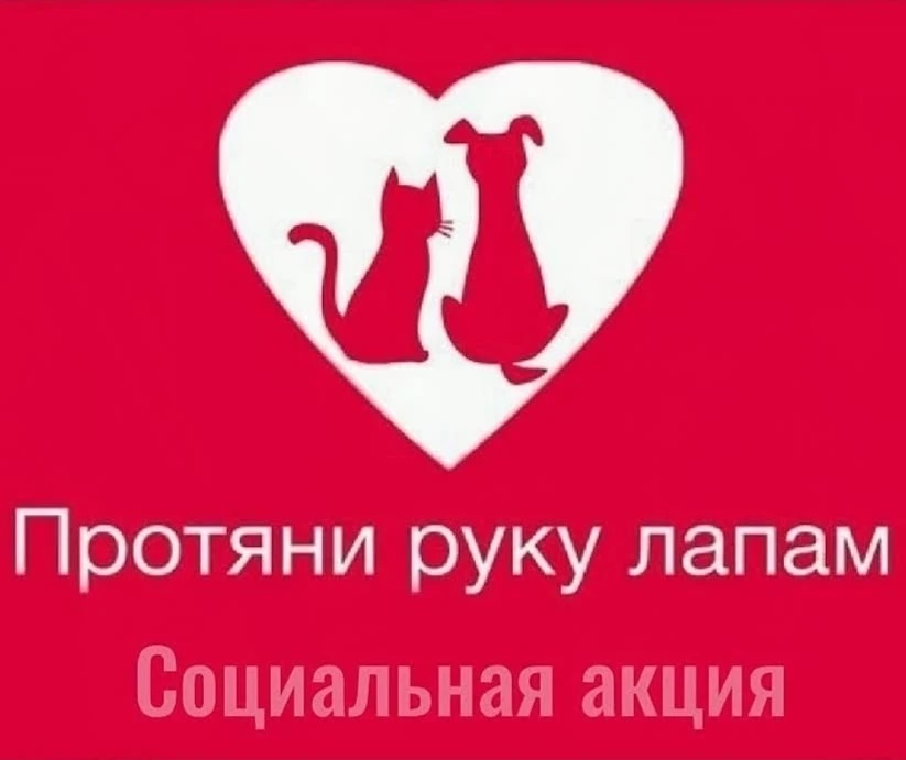 🎉 Акция «Протяни руку лапам»: доброта начинается с семьи! 🎉