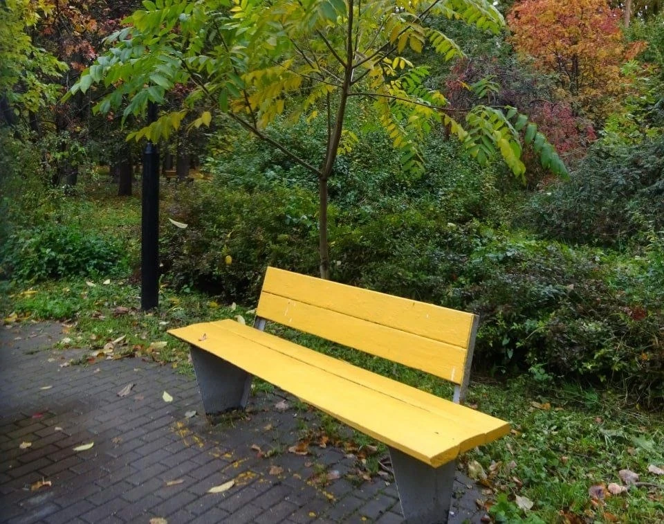🍂 Скамейки в Чапаевском парке тоже перешли на осенний режим