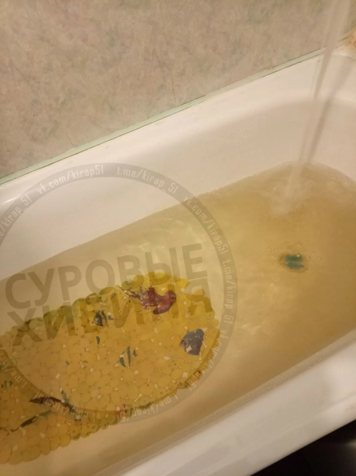 Жалуются: