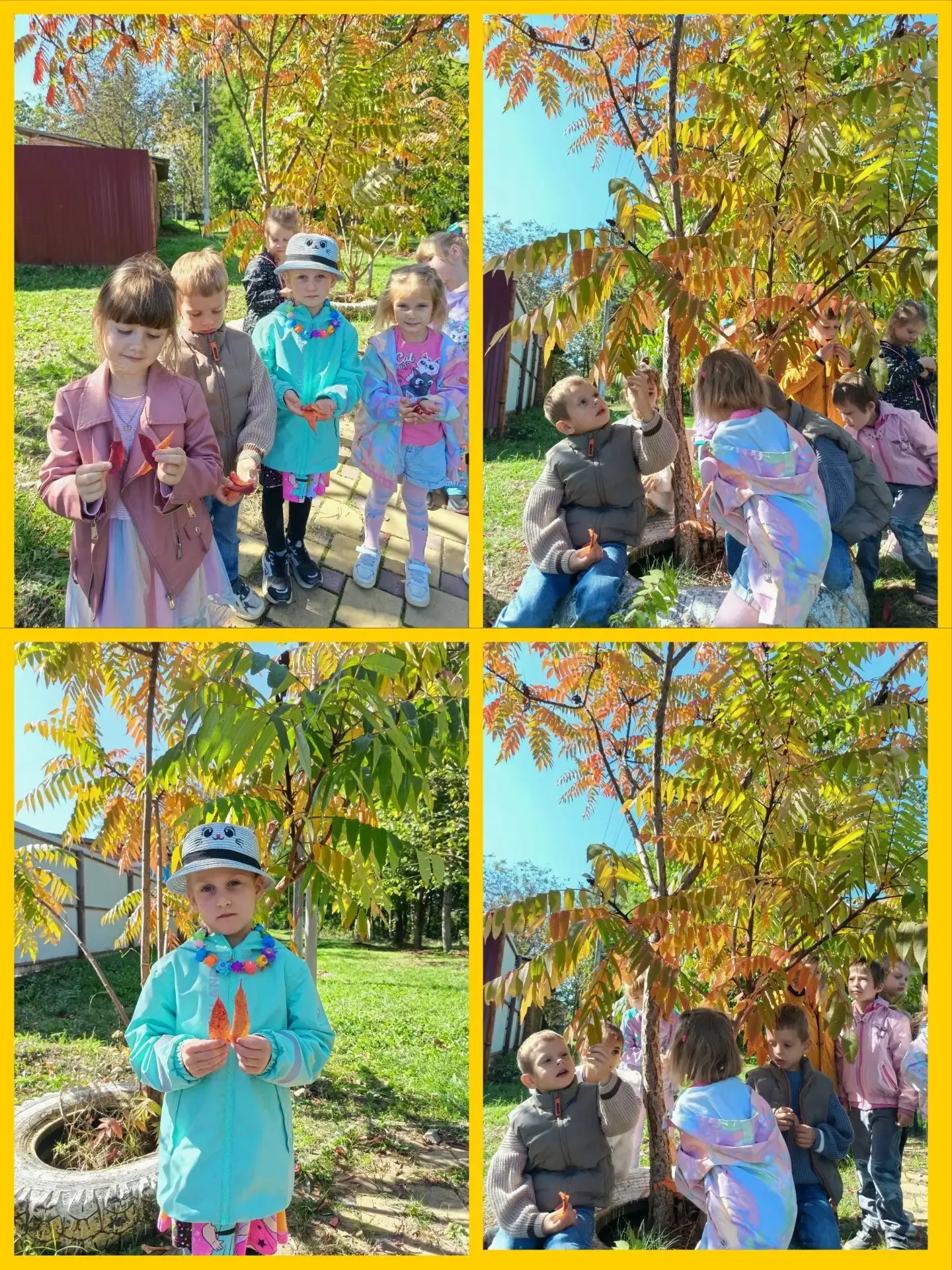Наблюдение на прогулке за сезонными изменениями в природе! 🍂
