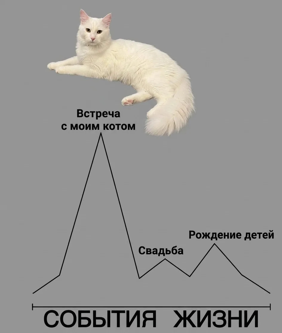 У кого так же? 😊