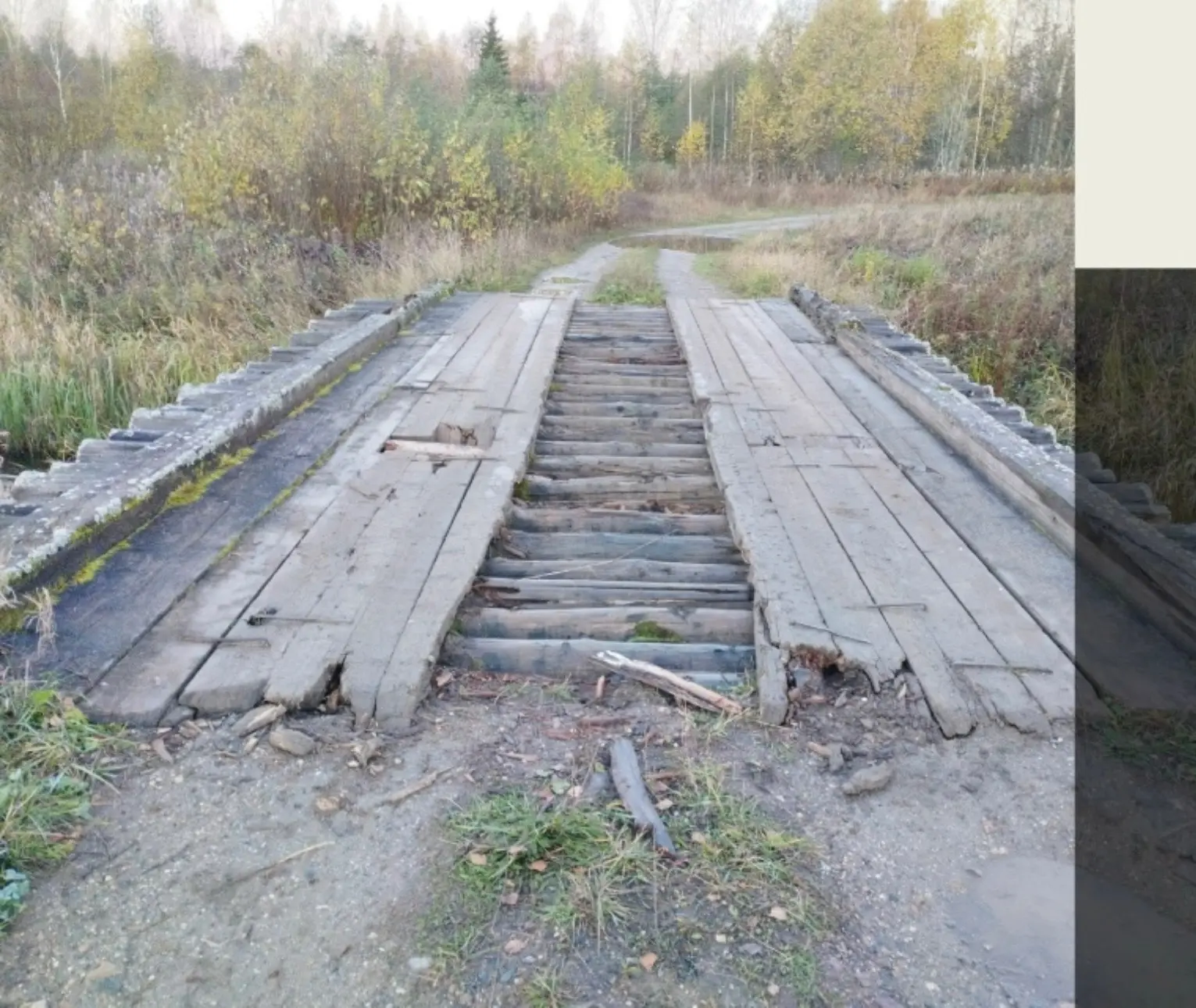 #Вологжане_пишут