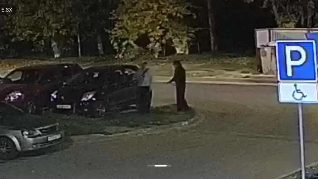 В Рязани подростков подозревают в повреждении машин во дворе на Берёзовой. С конца сент...
