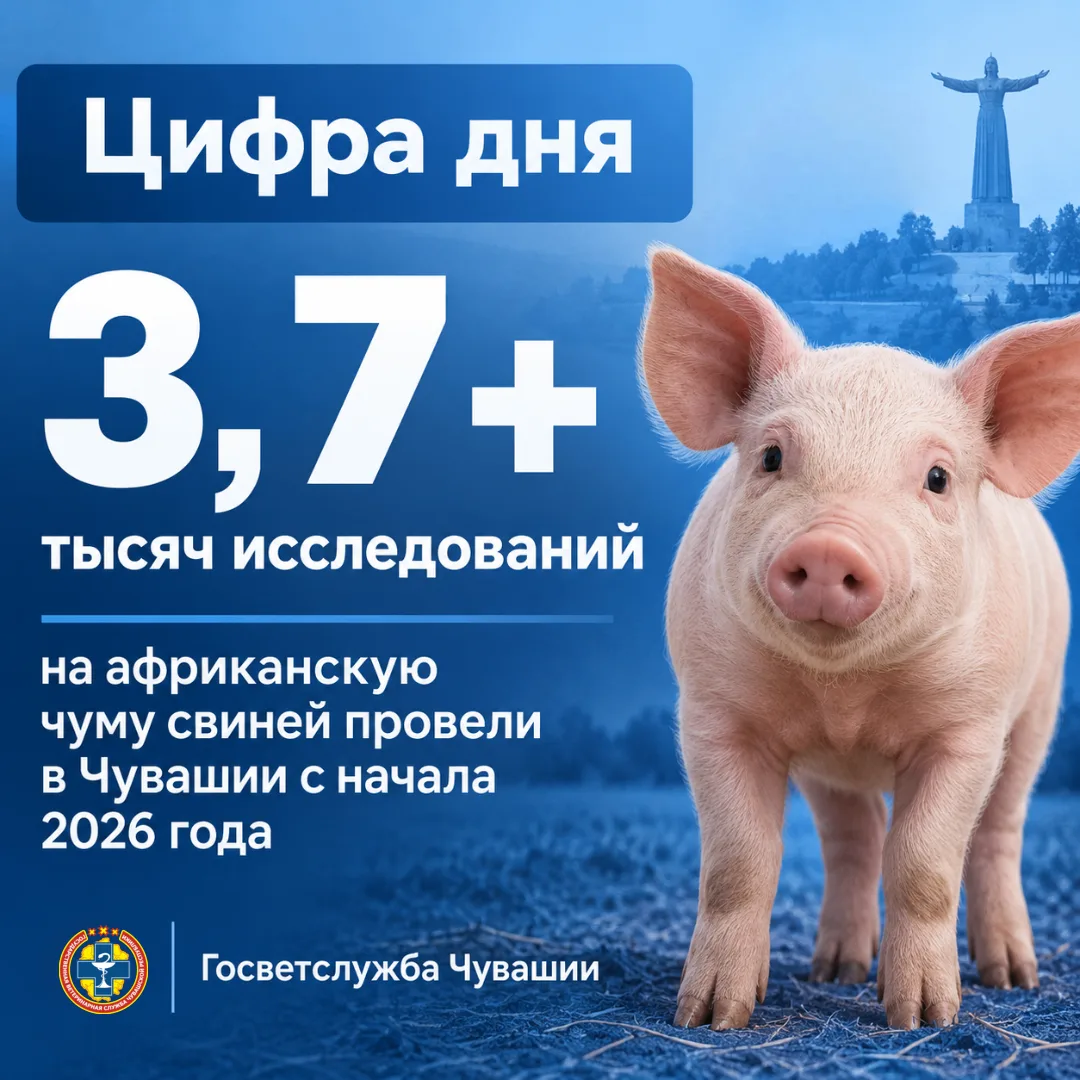 ❗️Африканская чума свиней остается одной из наиболее опасных инфекционных болезней, угр...