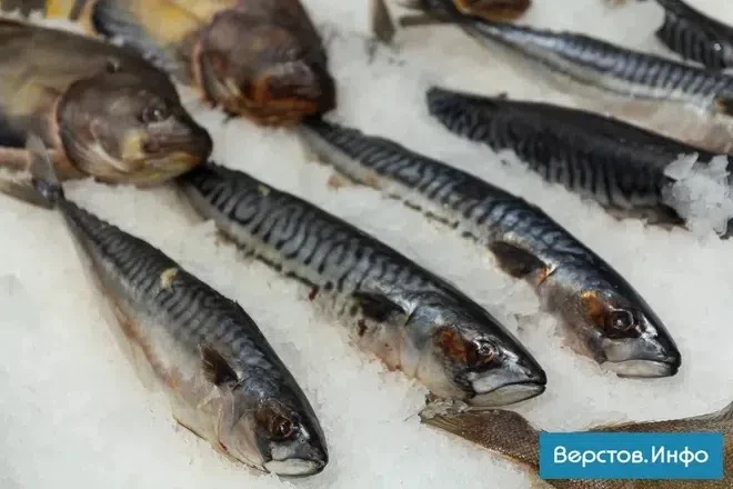 Цены на морскую рыбу в РФ к концу сентября выросли почти в два раза.