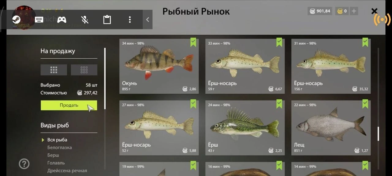 #вьюнок@rr4pepper