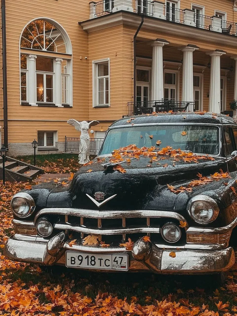 🍁 Оранжевое настроение на Каменном острове