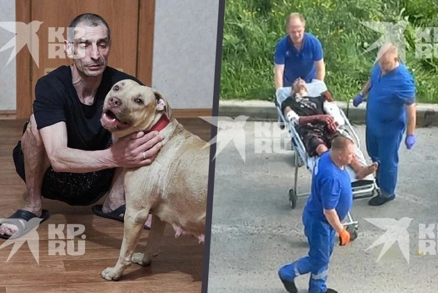 «Носит гипс и ведет тихий образ жизни» Хозяина бойцовых собак, покусавших пермского инж...