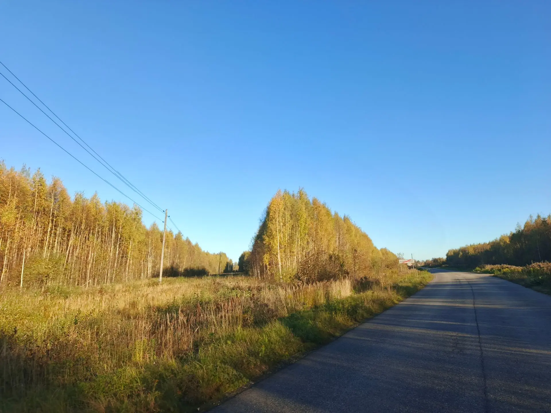 ПОГОДА
