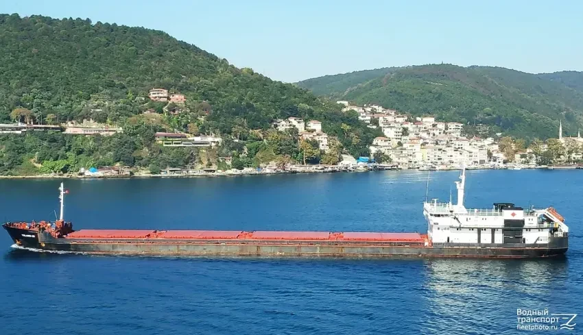 🚢 В Ростове арестовали теплоход «Воларис‑53» из‑за долга почти в 3,4 млн рублей.