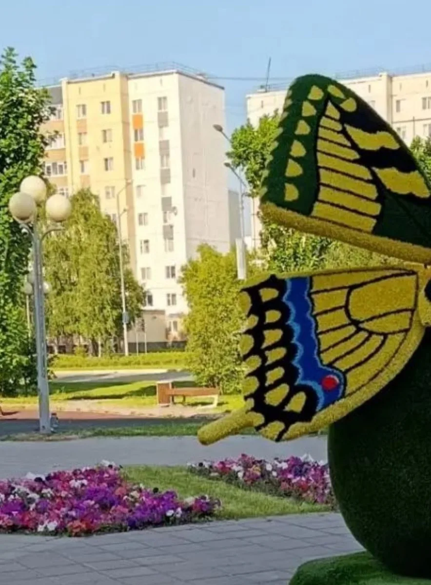 📸 Тобольск узнает себя по одному кадру?