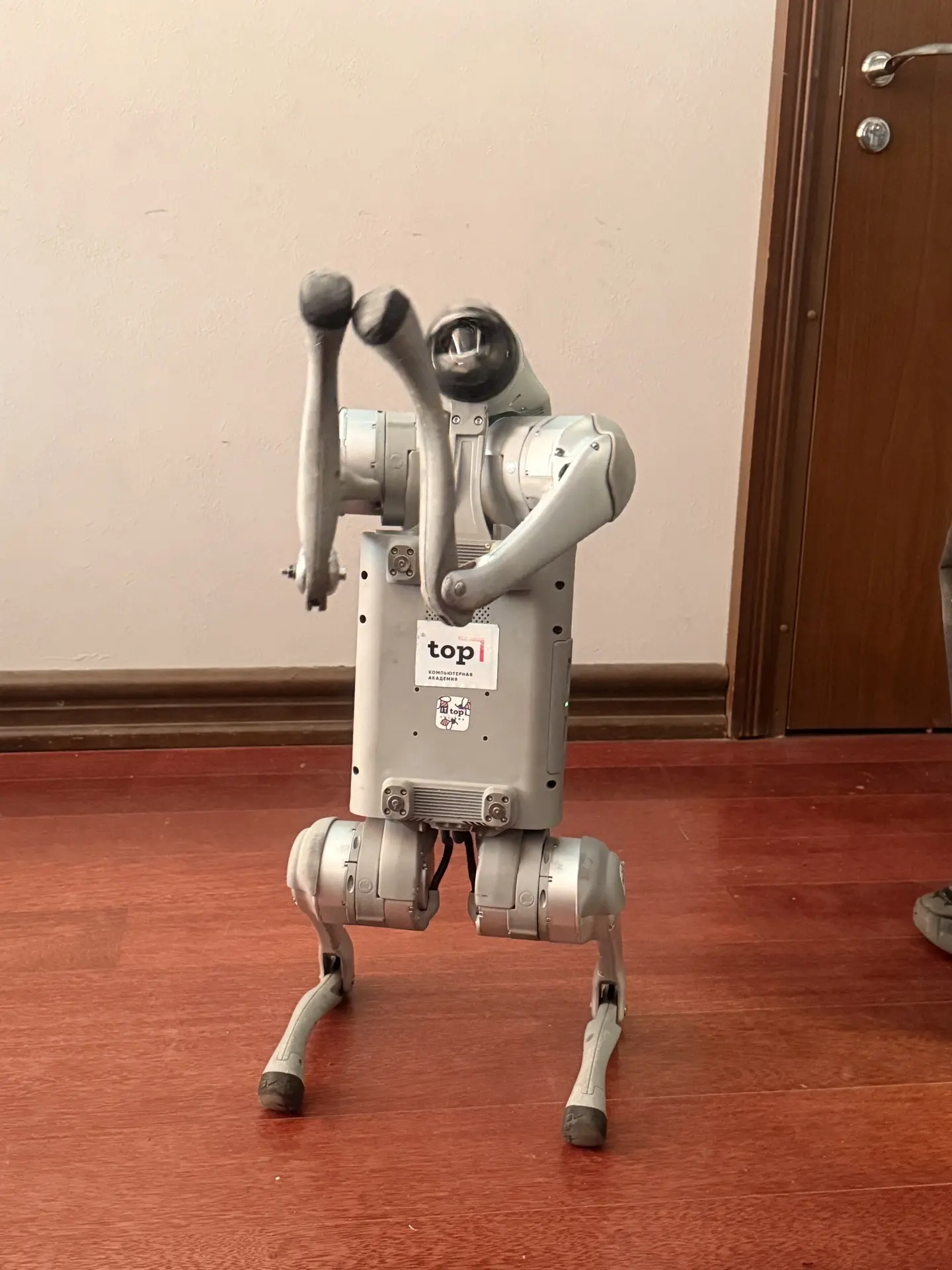 🤖 Путешествие в мир современных технологий! 🚀
