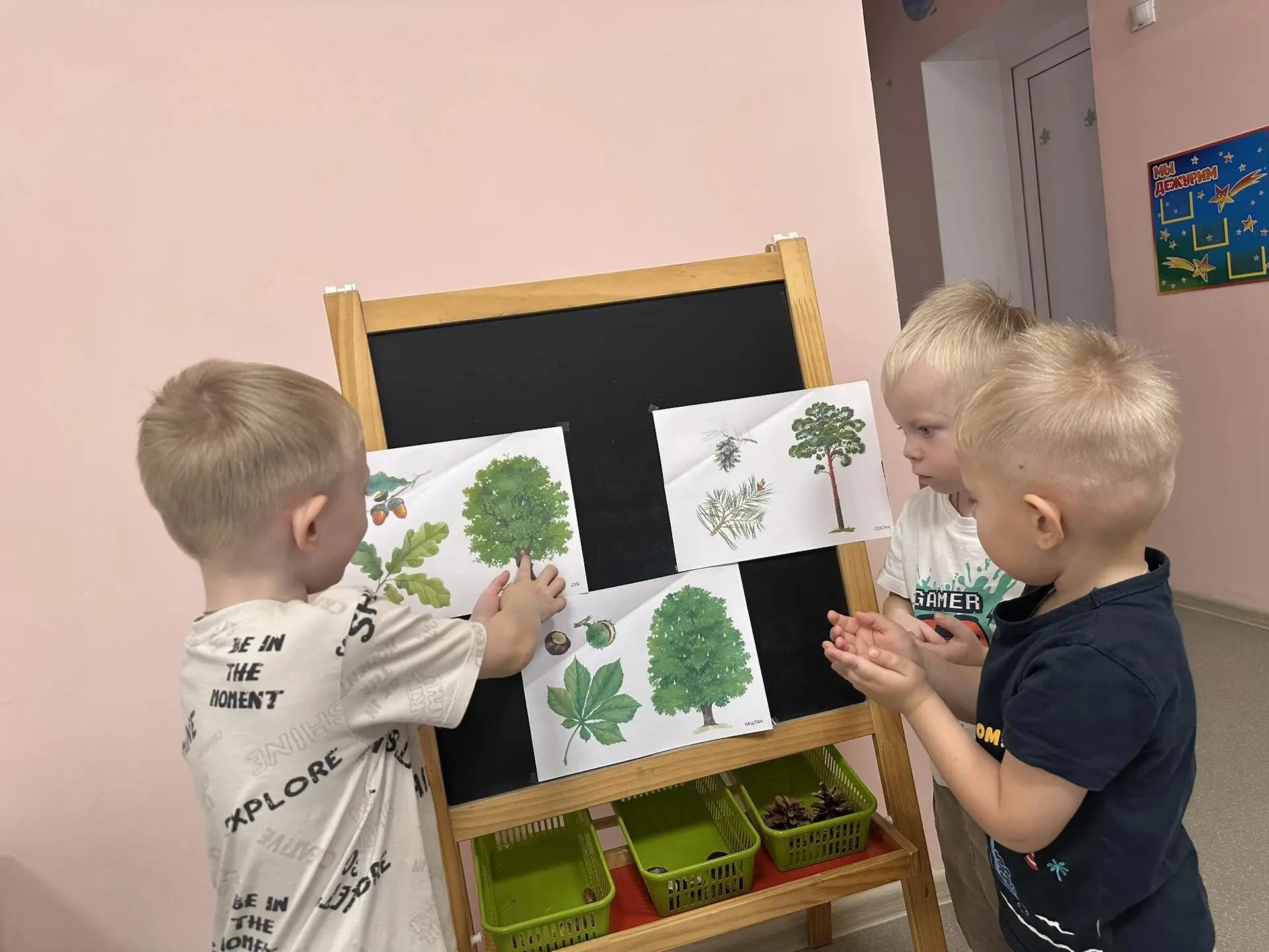 💚 «Учим малышей беречь деревья!» 💚