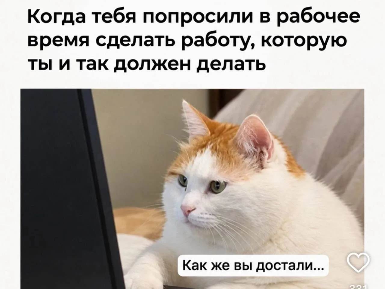 ...я сегодня)