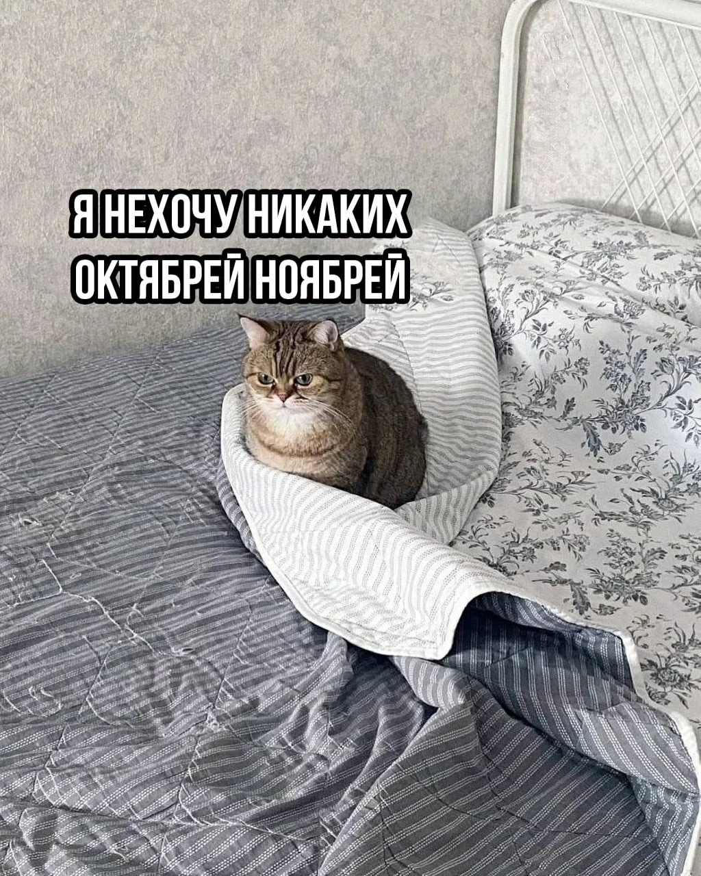 Почему и за что можно любить осень? 🍁