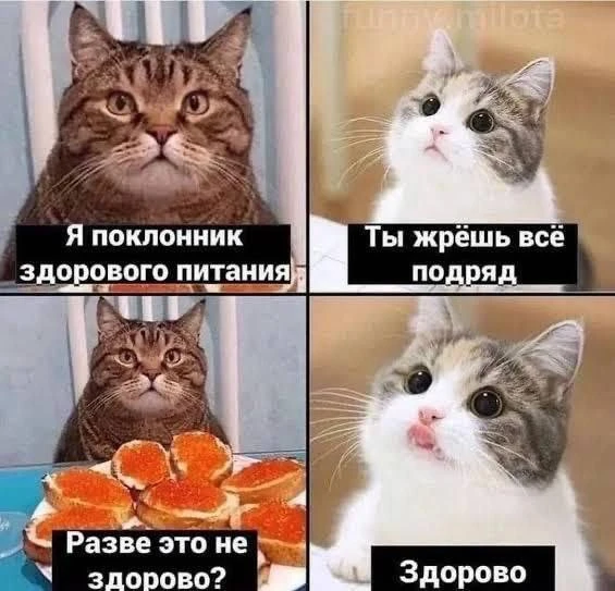 Подпишись на Приколиста