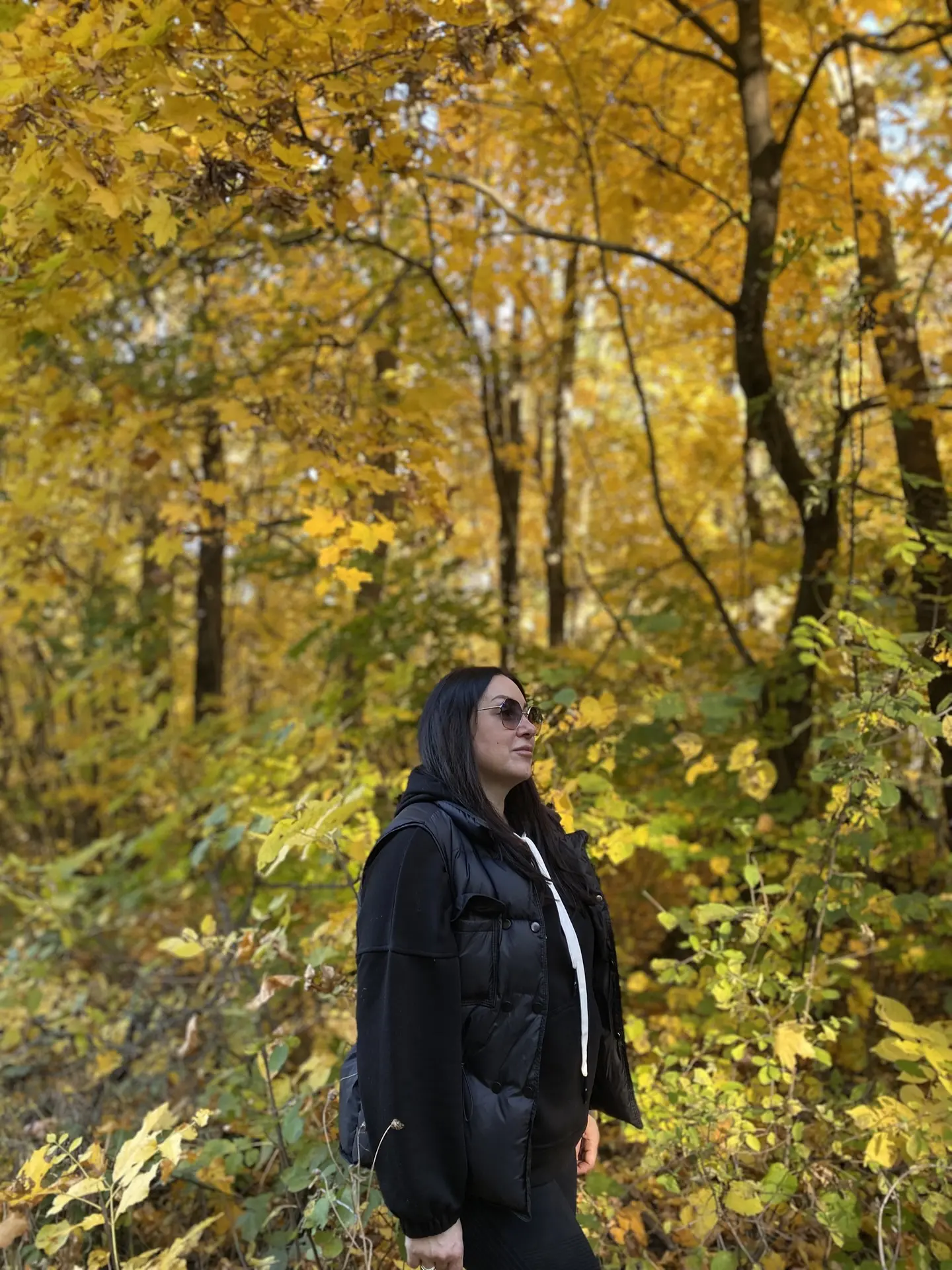 Шикарная осень😻и замечательная погода сегодня☀️🍁🍃🍂