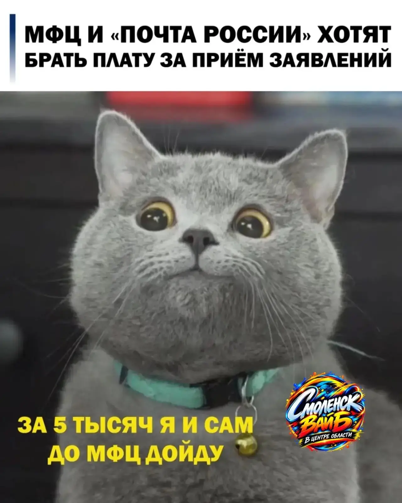 📮 За приём заявлений на госуслуги и доставку готовых документов могут брать до 5 тысяч...