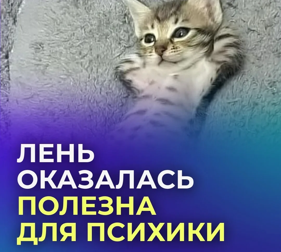 😌 Россиянам посоветовали лениться для здоровья.