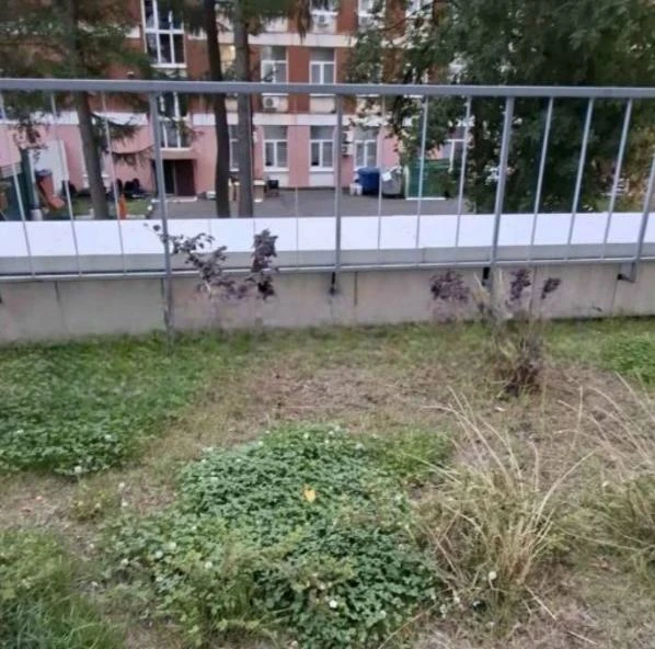 🧱 Фасад дома на Профсоюзной два месяца ждёт ремонта