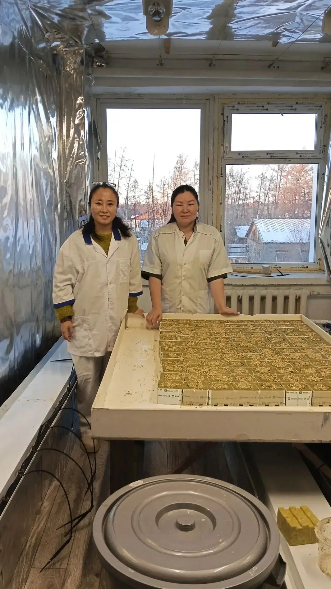 Новая жизнь в умной теплице: юные агрономы из «Ларикса» взялись за дело! 🌱✨