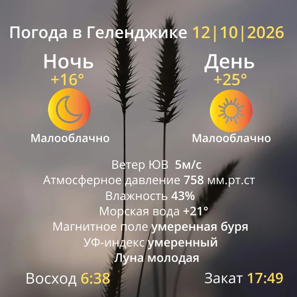 Погода на завтра