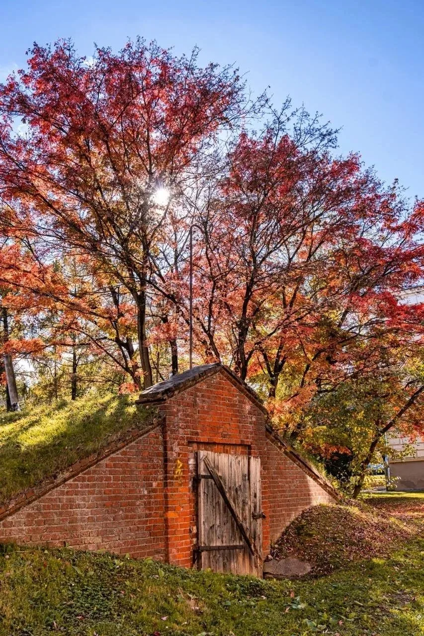 Парк Тимирязевской академии 🍂