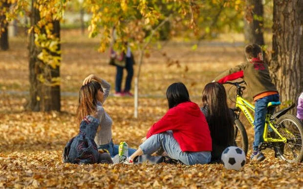 🍁 😳 Ноябрьдә россиялеләрне 20 эш көне һәм 10 ял һәм бәйрәм көне көтә.