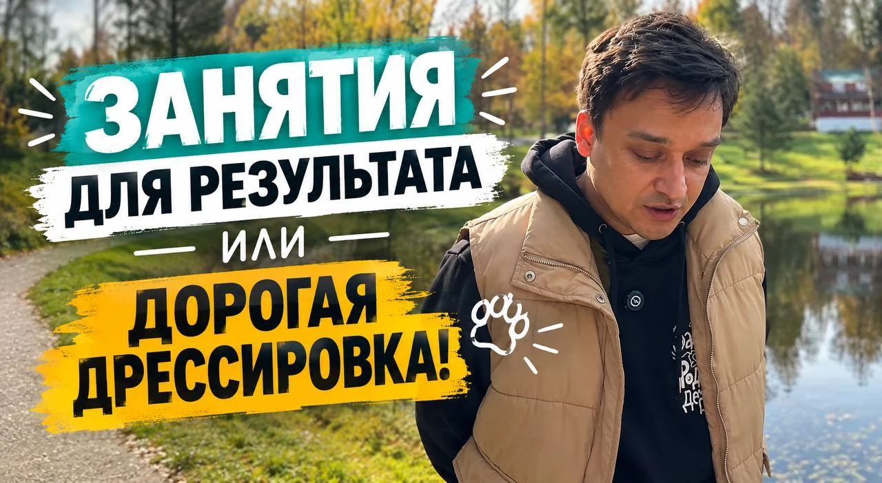 ЗАНЯТИЯ ДЛЯ РЕЗУЛЬТАТА ИЛИ ДОРОГАЯ ДРЕССИРОВКА!