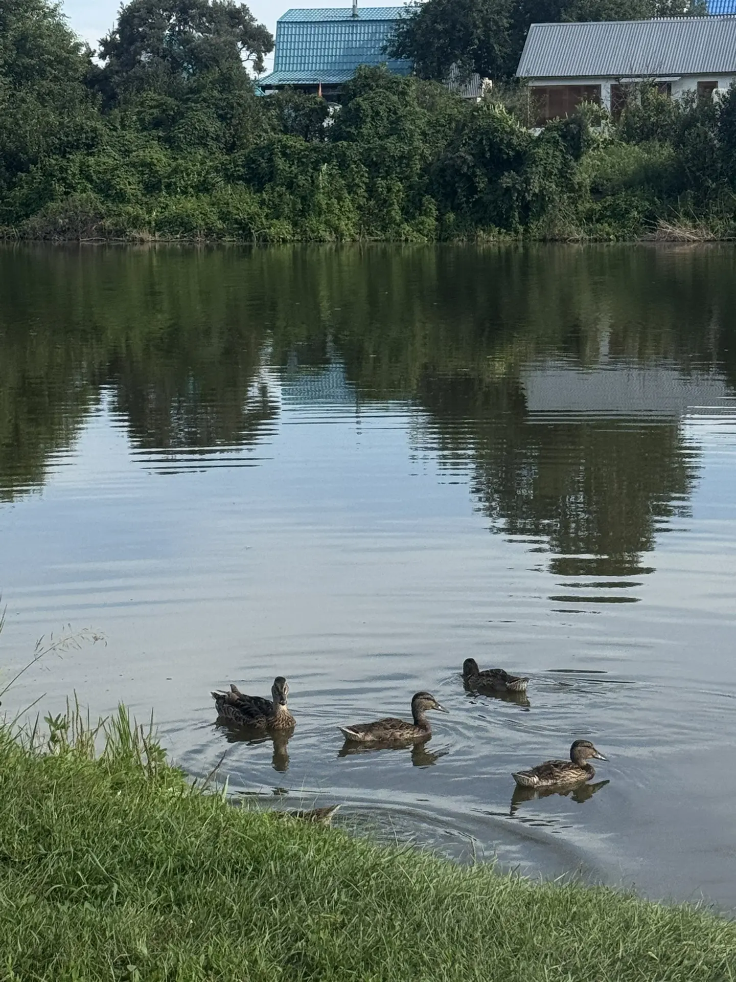 Под конец лета я осуществила мечту — впервые встала на сап 🏄‍♀️Ноги трясутся, но я сто...