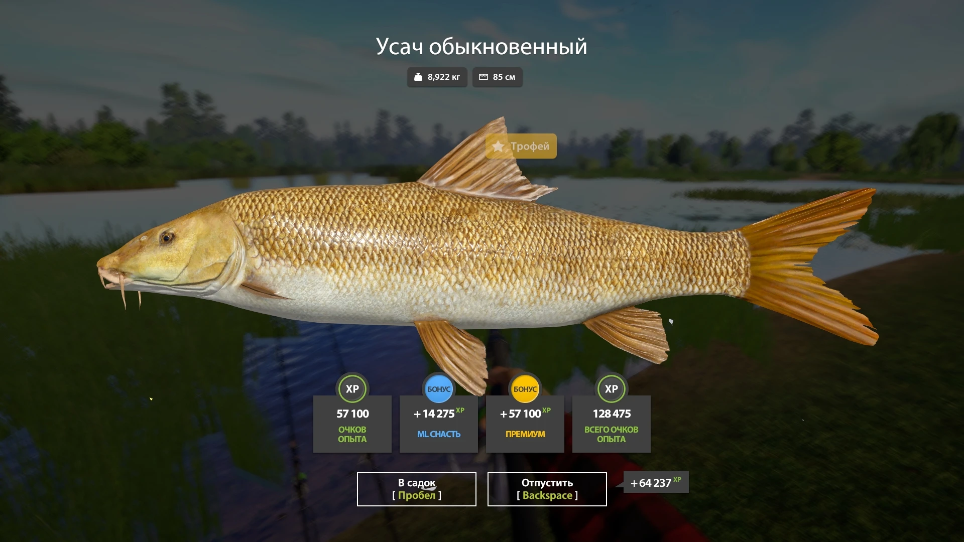 #медвежье@rr4pepper