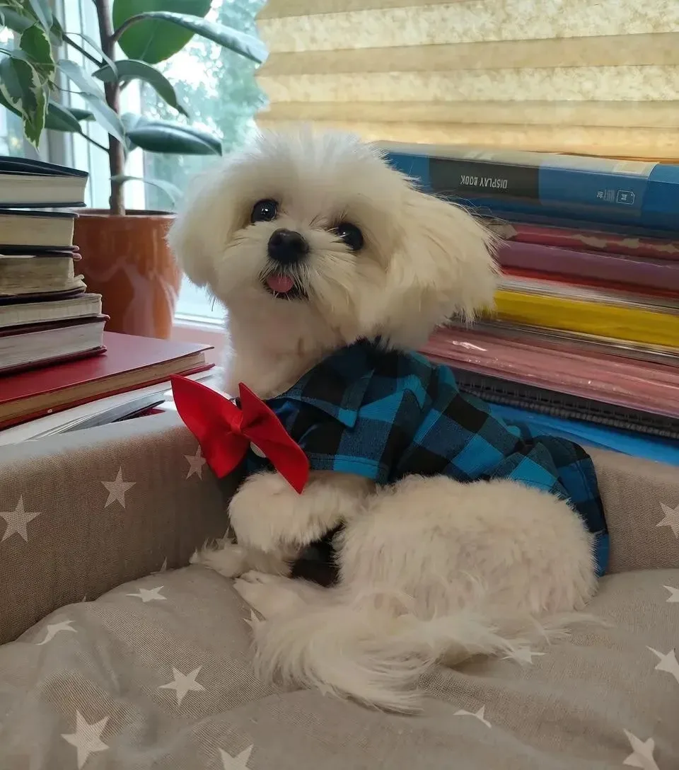 Наш красавец выпускник❤️