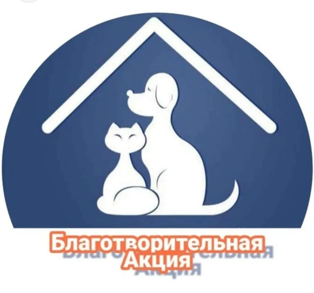 Поможем братьям нашим меньшим вместе!
