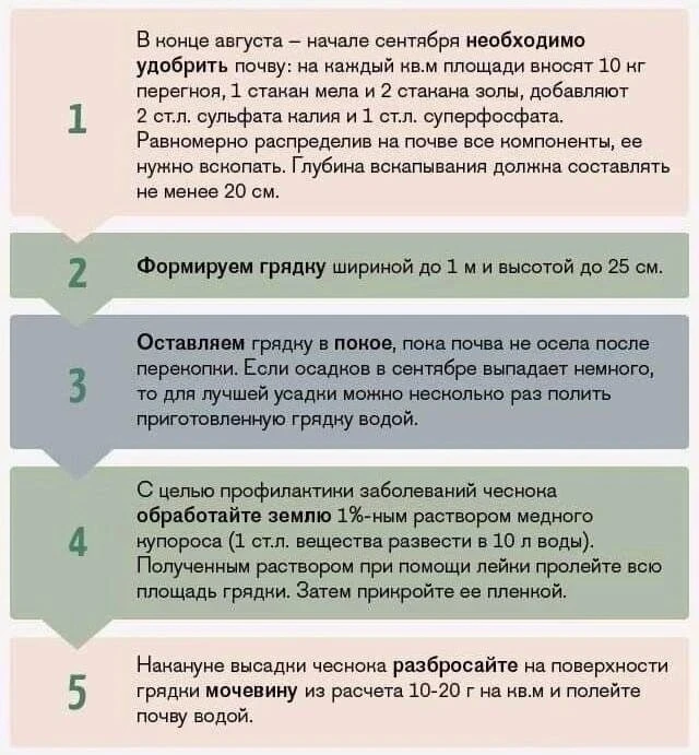 БЕРЕМ НА ЗАМЕТКУ✍🏻 💦 🌱