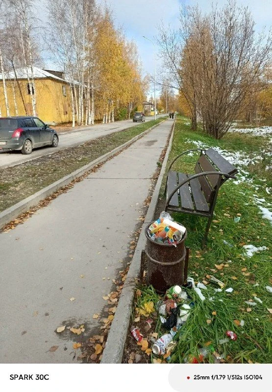 Город критически нуждается в уборке мусора.