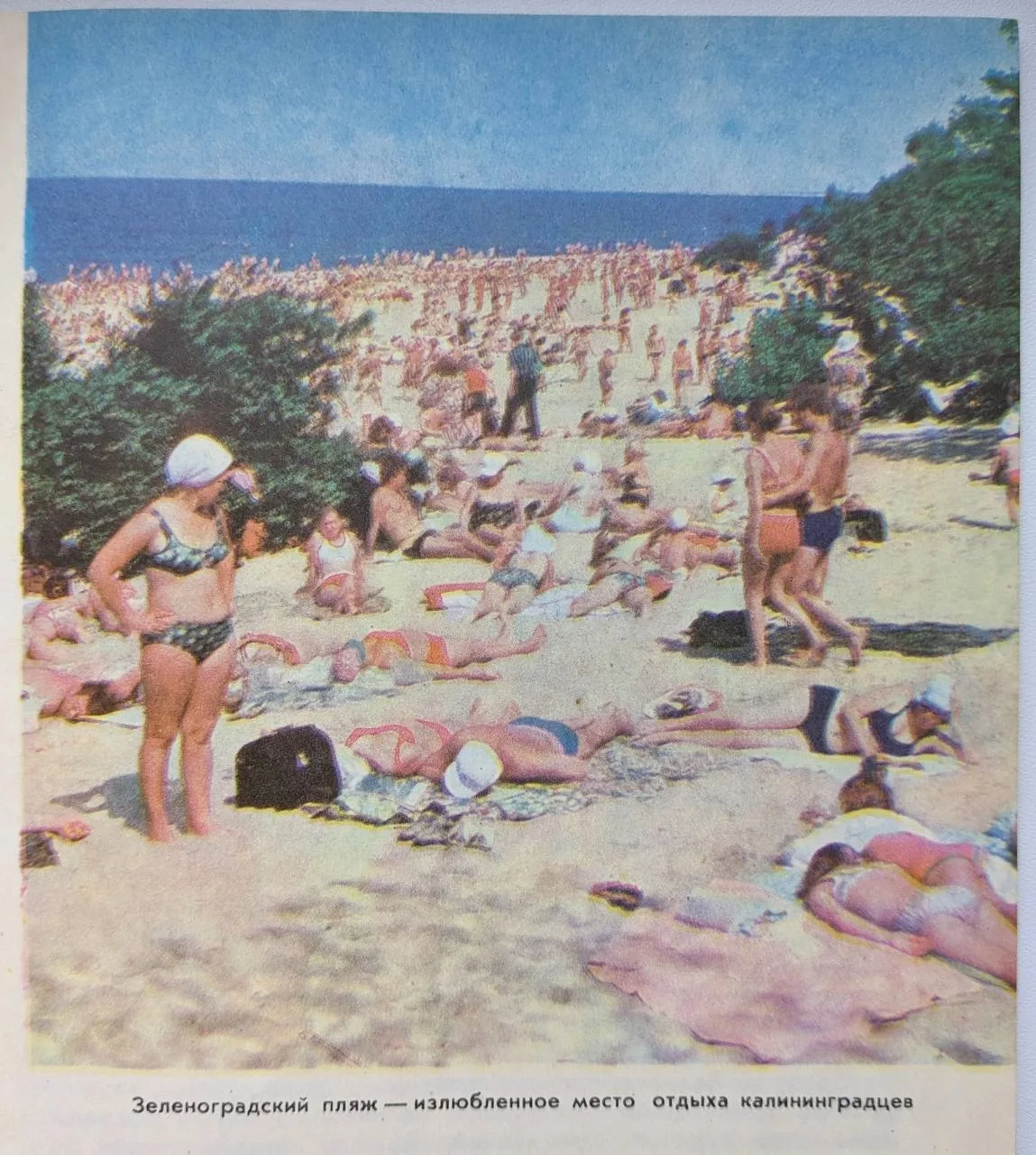 Немного истории. 1975 ⏳