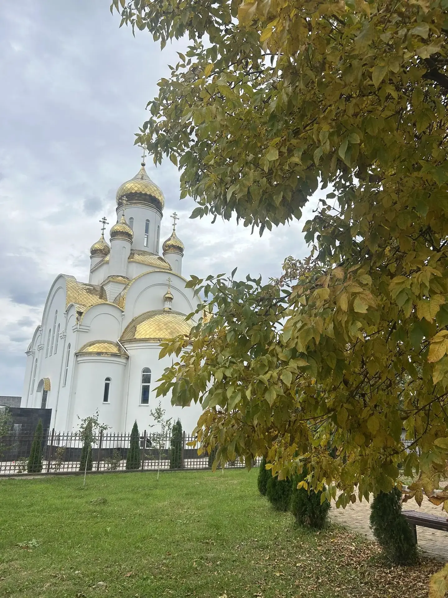🌤️ В среду будет облачно с прояснениями, а также легкий ветер с порывами до 5 м/с.