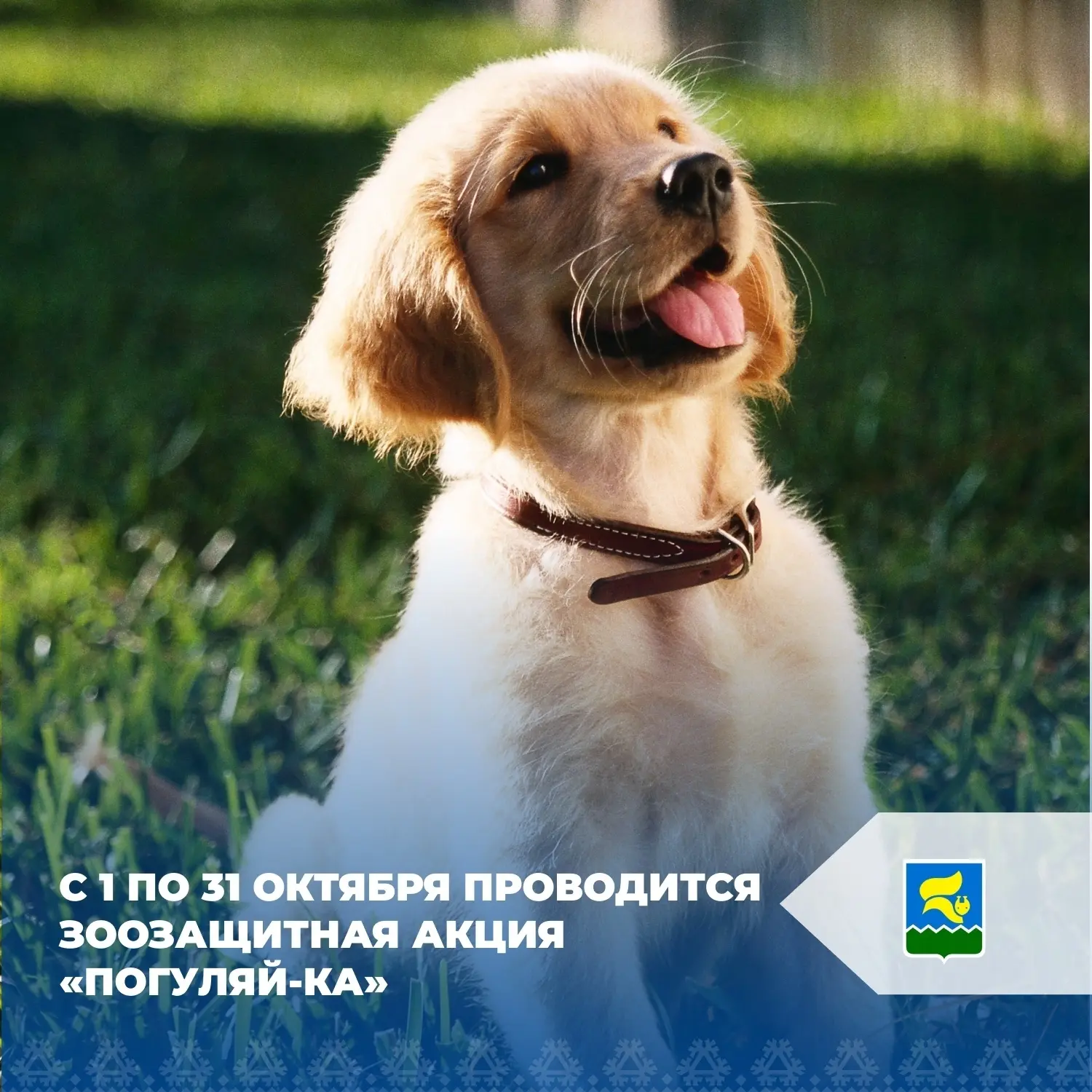 Уважаемые жители города Лангепаса!