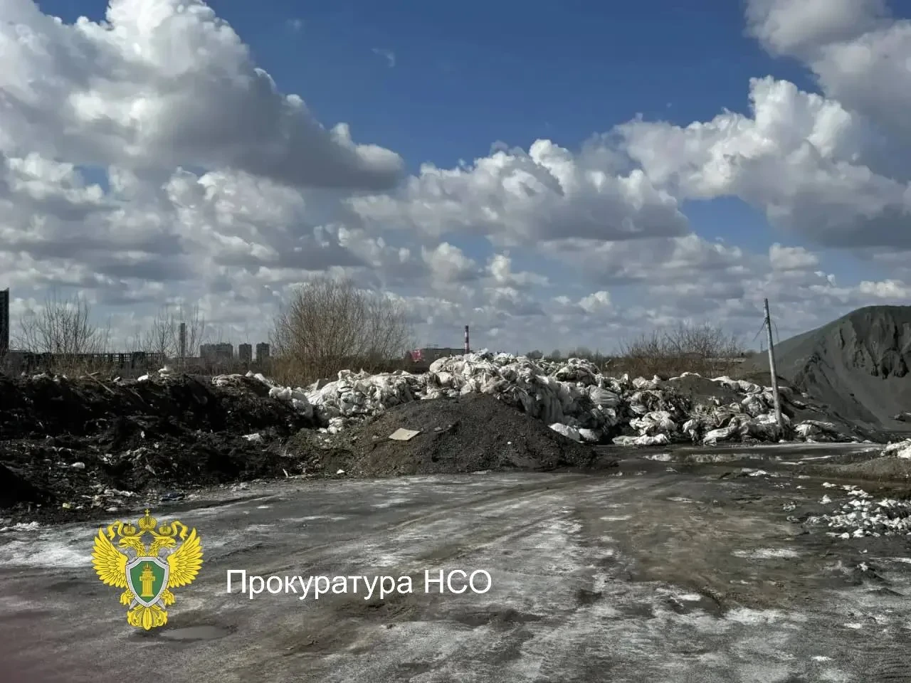 На берегу Оби в Новосибирске нашли стихийную свалку. На мусор обратила внимание прокура...