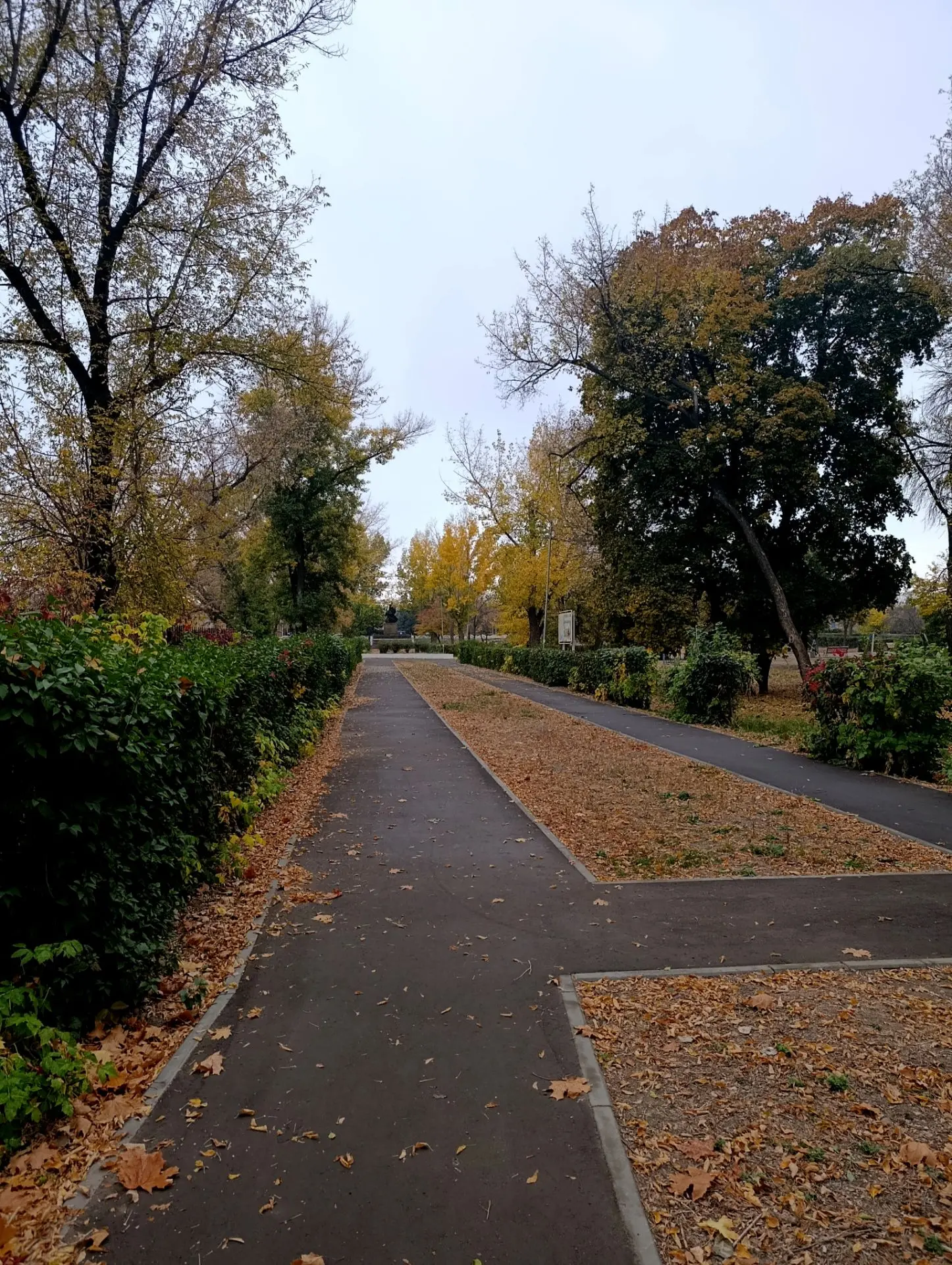 Октябрь 🍂 в Лутугино. ☺