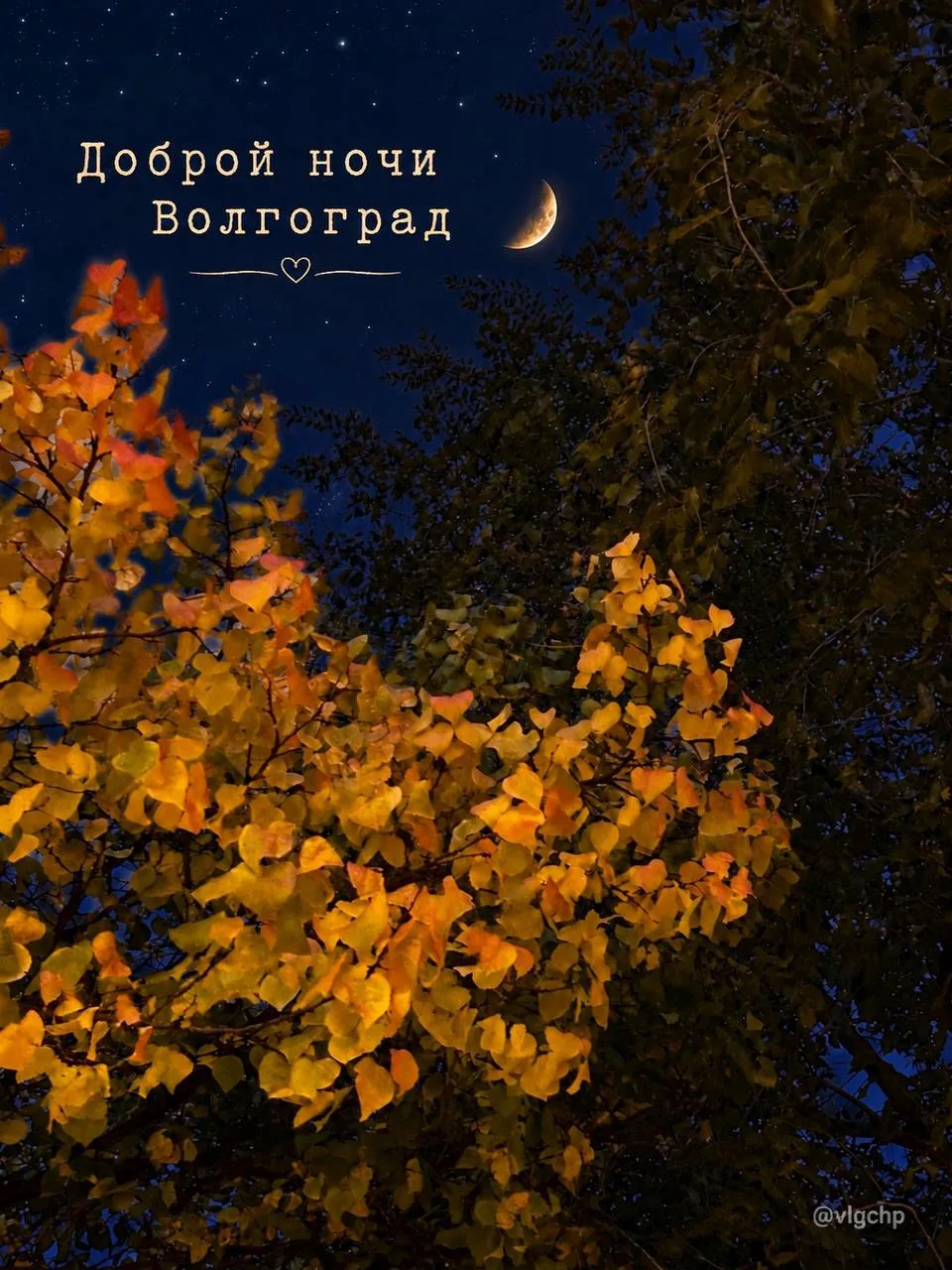 Доброй ночи 🌙